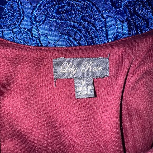 Lily Rose Burgundy Sheer Striped Dress with Scoop Neck, Medium Christmas Holiday - Picture 7 of 8